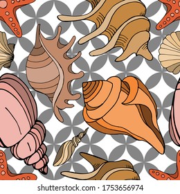 Seashells isolated sketch. Seashells vector. seamless patterns