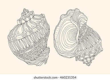 Seashells isolated. Vector detailed illustration. Zentangle line artwork. Beach concept for restaurant menu card, ticket, branding. Monochrome, black and beige colors