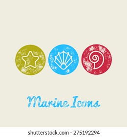 Seashells Marine Retro Icons - Grunge Vintage Design - Vector Illustration