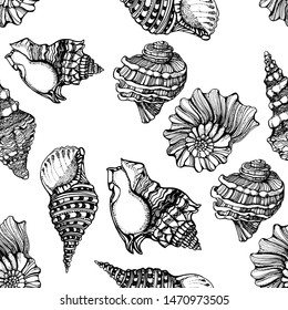 seashells , marine seamless pattern, isolated on white background vector, hand drawing