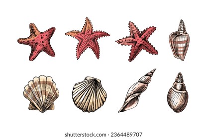 Various Seafood Vector Vector Art & Graphics