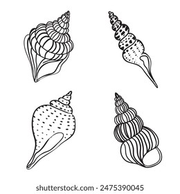 Seashells, marine Starfish, scallop seashell vector set. Hand drawn sketch illustration. Collection of realistic sketches of various ocean creatures isolated on white background.