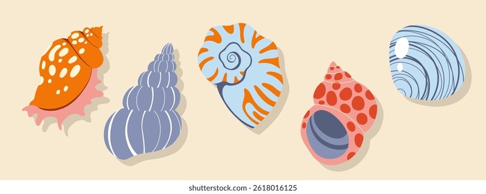 Seashells, mollusks, sea ​​snails. Modern flat illustration of isolated seashells