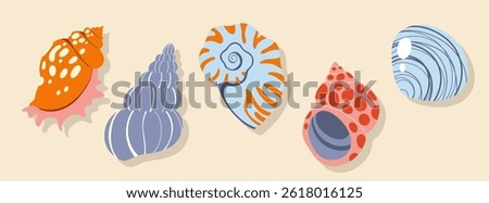 Seashells, mollusks, sea ​​snails. Modern flat illustration of isolated seashells