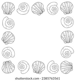 Seashells, mollusks vector graphic sketch handdraw frame 