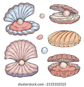 Seashells with natural pearl inside, hand drawn sketch style vector illustration isolated on white background. Pearls and shells marine icons colored collection.