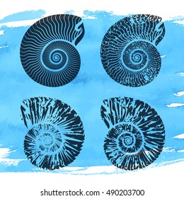 Seashells nautilus vintage vector collection summer. Science and nature symbol concept. Watercolor background.
