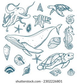 Seashells and Ocean marine animals vector set. Hand drawn illustrations of engraved lines. Hand drawn set of marine life doodles with blue lettering in vector. Whale, octopus, sea turtle, seahorse