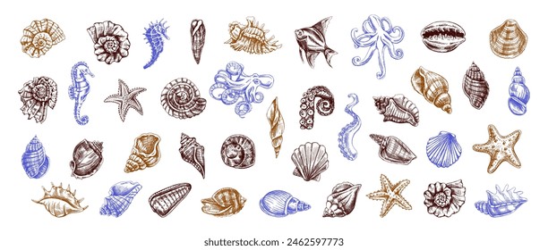 Seashells, octopus, fish, starfish, seahorses, ammonite colored vector set. Hand drawn sketch illustration. Collection of realistic sketches of various ocean creatures isolated.