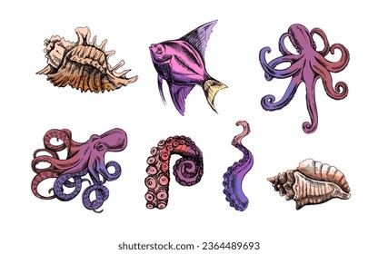 Seashells,  octopus, tropical fish, octopus tentacle color vector set. Hand drawn sketch illustration. Collection of realistic ocean creatures  isolated on white background.