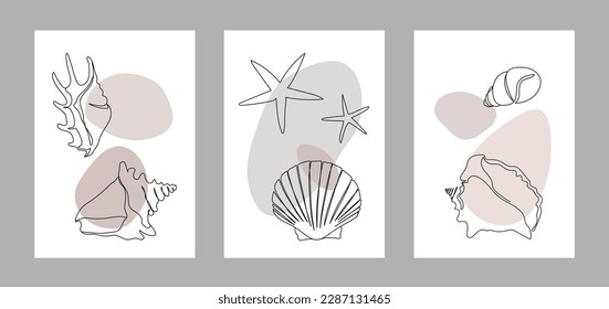 Seashells on an abstract background. One line drawing of a shell