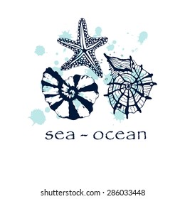 Seashells on a background of watercolor drops.