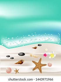 Seashells On Beach Banner Stock Vector (Royalty Free) 1443971966 ...