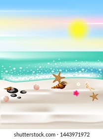 Seashells on the beach banner