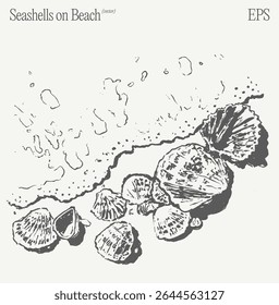 Seashells on Beach A Beautiful and Serene Coastal Illustration for All to Enjoy