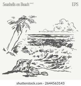 Seashells on the Beach A Serene Coastal Landscape Illustration Capturing Natures Tranquility