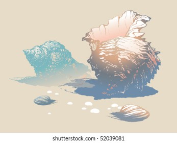 Seashells on the beach. Vector illustration.