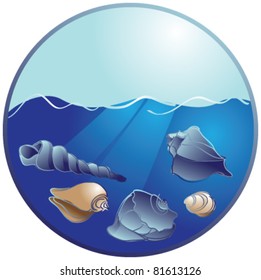 Seashells on the ocean floor