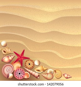 seashells on sand background vector