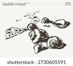 Seashells on Sandy Beach by Ocean Waves Sketch