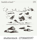 Seashells on Sandy Beach by Ocean Waves Sketch