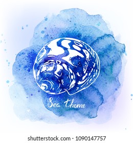 Seashells on watercolor blue background. Sea background. Vector illustration.