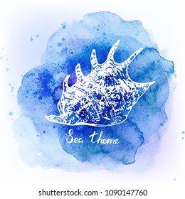 Seashells on watercolor blue background. Sea background. Vector illustration.