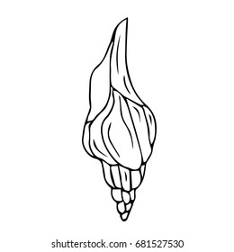 Seashells on white background  illustration. Doodle style. Design icon, print, logo, poster, symbol, decor, textile, paper, card. 