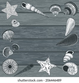 Seashells on wooden background 