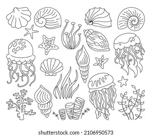Seashells outline doodle set. Ocean marine shell, starfish, spiral mollusk seaweed, conch and jellyfish. Tropical under water design elements flat hand drawn sea shells. Isolated vector illustration