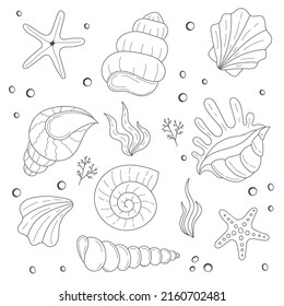 Seashells outline doodle set. Perfect for invitations, fabric, textile, linens, posters, prints, banners.