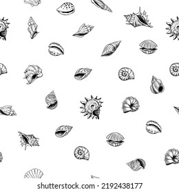 Seashells pattern. sketch style. set of vector illustrations