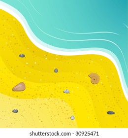 seashells and pebbles on a sandy beach with blue sea
