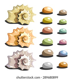 Seashells and pebbles set. Hand drawn vector illustration.