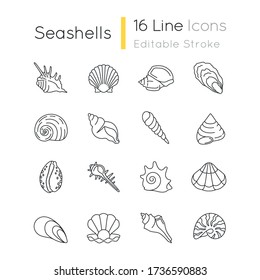 46,862 Shell Outlines Images, Stock Photos & Vectors | Shutterstock