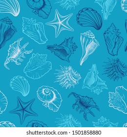 Seashells, scallops vector seamless pattern. Marine life animals colorful drawings on blue background. Sea urchin freehand engraving. Underwater creatures outline. Wallpaper, textile design