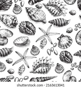 

Seashells sea beach summer graphic illustration hand drawn big set isolated elements on white background. Background coloring book for children doodle sketch