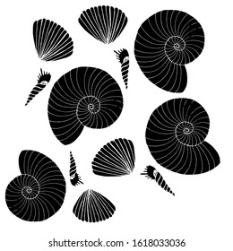 Seashells from the sea. Black silhouettes of shells.