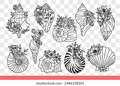 Seashells of sea inhabitants and underwater animals with flowers. Beautiful seashells from clams and oysters or mussels found on ocean shore with tropical beach. Hand drawn doodle.