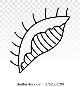 Seashells / sea snail line art vector icon for apps and websites
