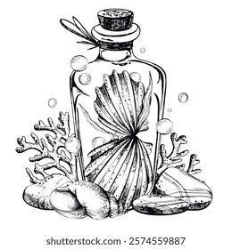 Seashells, sea sponges, corals, pebbles and bubbles inside a glass bottle with a stopper. Hand drawn graphic illustration in black and white color line art. Sublimation arrangement on marine theme