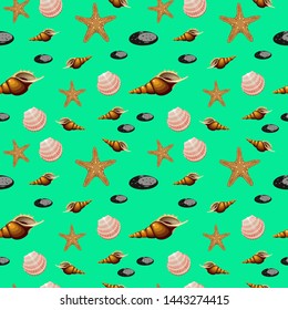 Seashells sea stars Seamless pattern