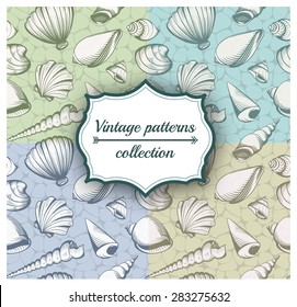 seashells seamless pattern collection vintage vector summer background illustration