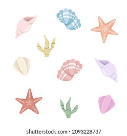 Seashells and seastars collection. Vector flat cartoon illustration. Summer travel design elements, isolated on white background. Sea shells and stars colorful icons set.