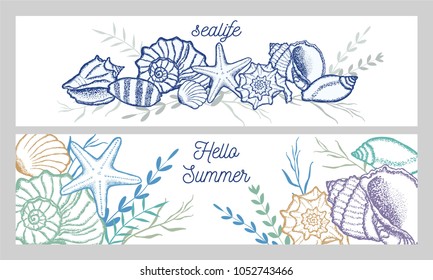 Seashells and seaweed in color. Two banners with sea objects.