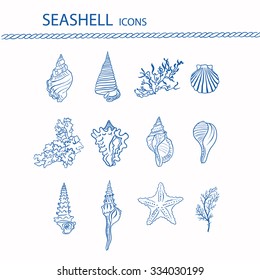 Seashells, seaweed and coral. Vector seashell icon