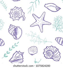 Seashells and seaweed on a white background. Vector seamless pattern.