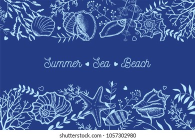 Seashells, seaweed and twigs on a dark blue background. Template for postcards, invitations.