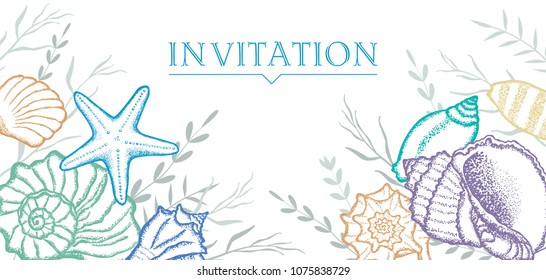 Seashells, seaweed and twigs on a white background. Template for postcards, invitations.