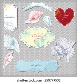 Seashells set